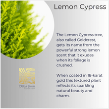Load image into Gallery viewer, Lemon Cypress Ring
